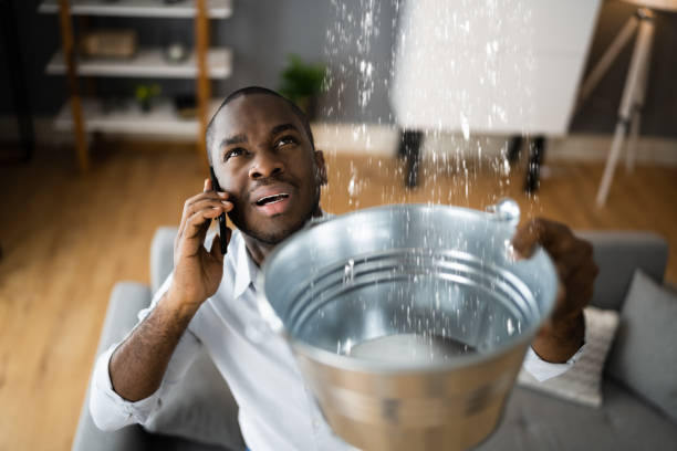 Best Commercial water damage restoration  in St Joseph, IL