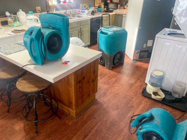 Best Residential water damage restoration  in St Joseph, IL