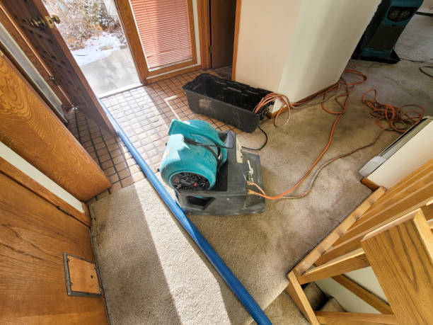 Best Flood restoration services  in St Joseph, IL