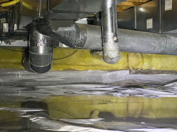 Best Water damage restoration near me  in St Joseph, IL