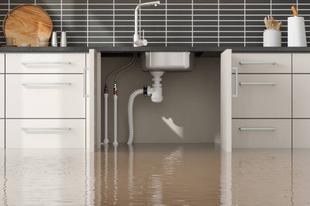 Best Water damage repair service  in St Joseph, IL