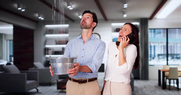 Best Sewage cleanup and water damage restoration  in St Joseph, IL